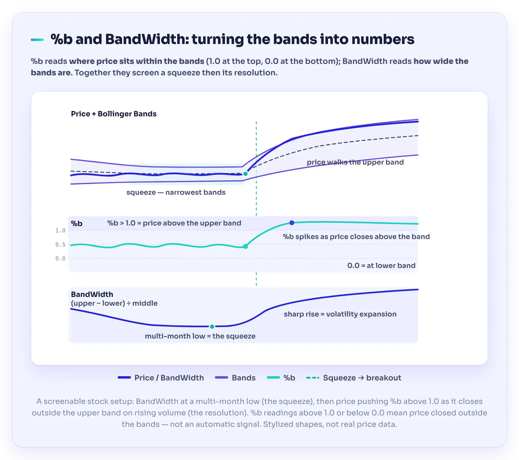 %b and BandWidth panels below a stock chart, showing price position within the bands and the width of the bands over time
